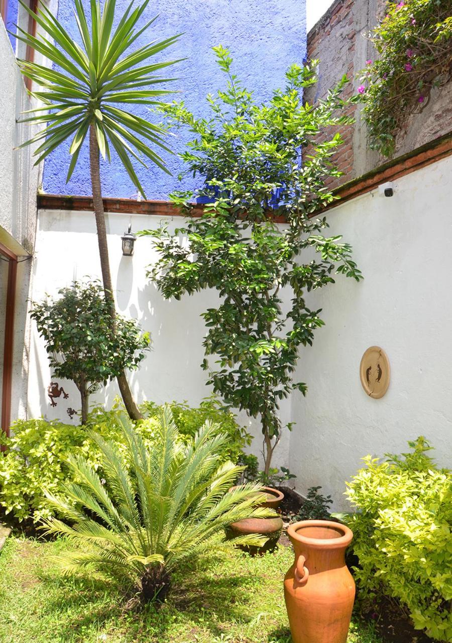 Casa Coyoacan Мехіко Екстер'єр фото